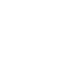 Spectrum Policy and the EU Digital Single Market